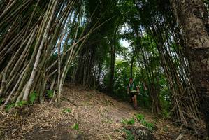 BIB: 
                            <button type="button" onclick="openModal(19395870)" class="btn btn-primary btn-sm float-right btn-popup" data-toggle="modal" data-target=".modal-high-quality">
                        <i class="fas fa-shopping-cart"></i> Add to Cart
                    </button>
                                            <button type="button" onclick="isThisMe(19395870, true)" class="btn btn-success btn-sm float-right btn-popup btn-isme hidden" data-toggle="tooltip" data-placement="bottom" title="นี่คือรูปของคุณใช่ไหม คลิกที่นี่เพื่อเอาเข้าอัลบั้ม">
                        <i class="fas fa-plus"></i> Add to album
                    </button>
                    <button type="button" onclick="isThisMe(19395870, false)" class="btn btn-warning btn-sm float-right btn-popup btn-isnotme hidden">
                        <i class="fas fa-ban"></i> Remove from album
                    </button>